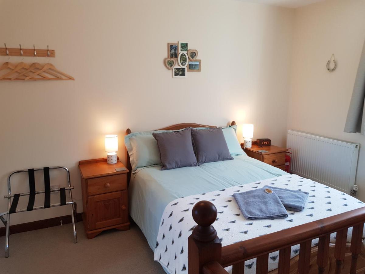 The Beehive - Self Catering In The Heart Of The Forest Of Dean Whitecroft Eksteriør bilde
