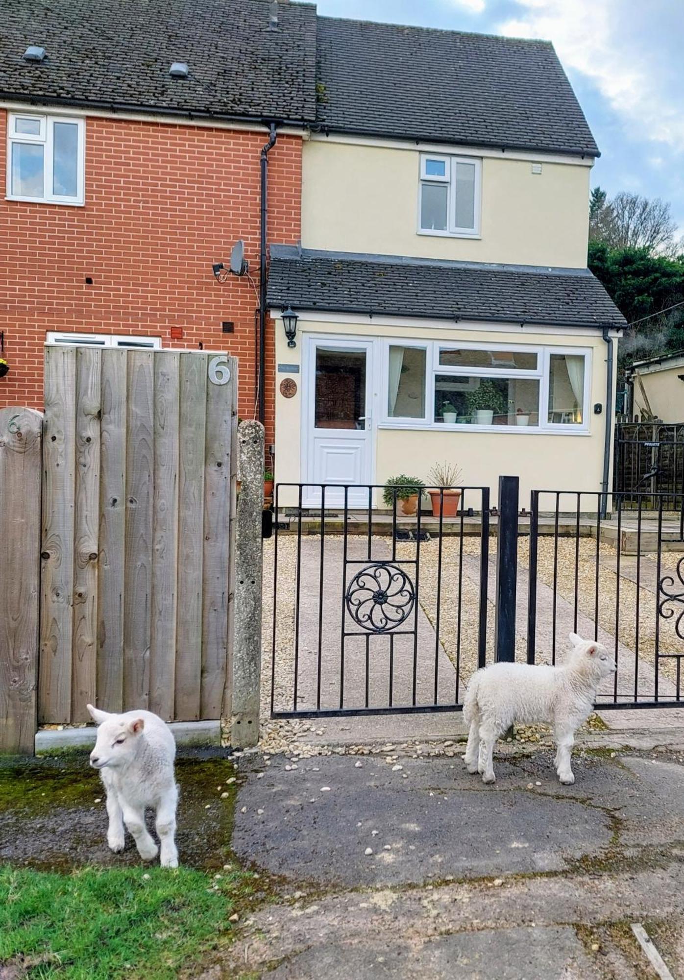 The Beehive - Self Catering In The Heart Of The Forest Of Dean Whitecroft Eksteriør bilde